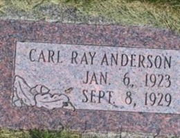 Carl Ray Anderson