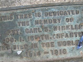 Carl S Winkler
