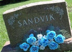 Carl Sandvik