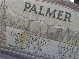 Carl Sterling Palmer