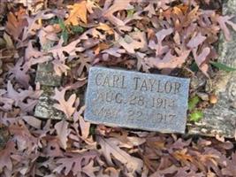Carl Taylor