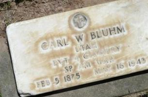 Carl W. Bluhm