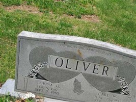 Carl W Oliver Carl W Oliver