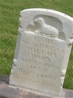 Carl Wilcox