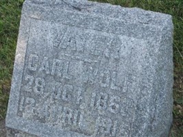 Carl Wolf