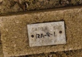 Carla Sue Stone Carla Sue Stone