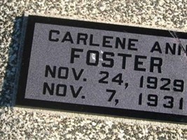 Carlene Ann Foster Carlene Ann Foster