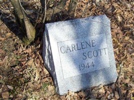 Carlene Scott Carlene Scott