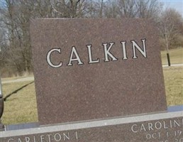Carleton I Calkin