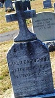 Carlo Casinghino (1929156.jpg)