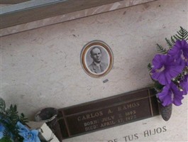 Carlos A. Ramos