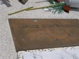 . Carlos Colon Molina . Carlos Colon Molina
