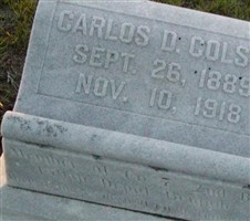 Carlos D Colson Carlos D Colson