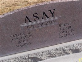 Carlos Egan Asay Carlos Egan Asay