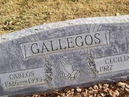 Carlos Gallegos Carlos Gallegos