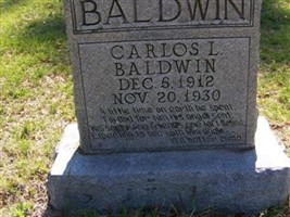 Carlos L. Baldwin Carlos L. Baldwin