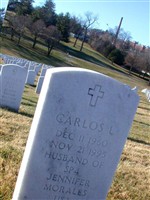 Carlos L Morales Carlos L Morales