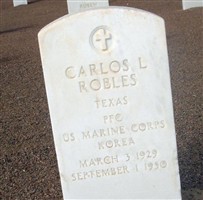 Carlos L Robles