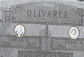 Carlos Lopez Olivares