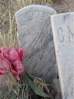 Carlota M. Lopez Carlota M. Lopez