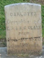 Carlotta Clark Carlotta Clark