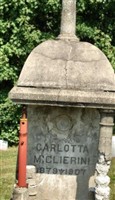 Carlotta Miclierini