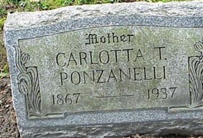 Carlotta T Ponzanelli Carlotta T Ponzanelli