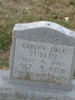 Carlyn Dale Turley Carlyn Dale Turley