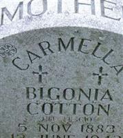 Carmella Bigonia Leggio Cotton