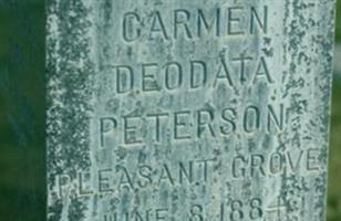 Carmen Deodata Peterson