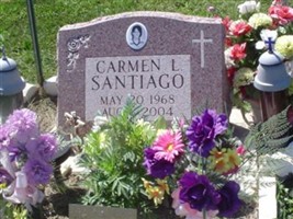Carmen Luz Santiago