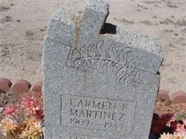 Carmen P Martinez