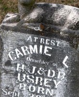 Carmie L. Usrey