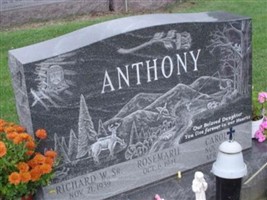 Carol A. Anthony