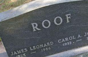 Carol A Jones Roof