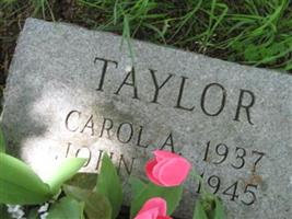 Carol A Taylor