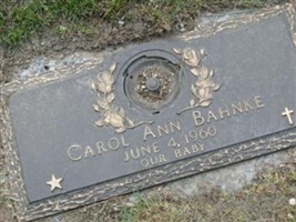 Carol Ann Bahnke Carol Ann Bahnke
