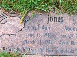 Carol Ann Jones