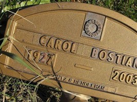 Carol Casper Bostian