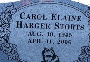 Carol Elaine Harger Storts Carol Elaine Harger Storts