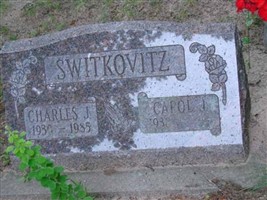 Carol J. Switkovitz