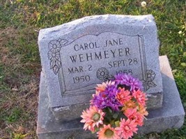 Carol Jane Wehmeyer