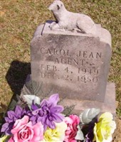 Carol Jean Agent Carol Jean Agent