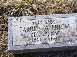 Carol Joy Ehlow