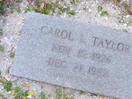 Carol L Taylor