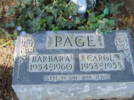 Carol Page Carol Page