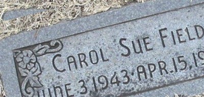 Carol Sue Fields Carol Sue Fields