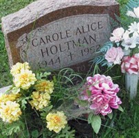 Carole Alice Holtman