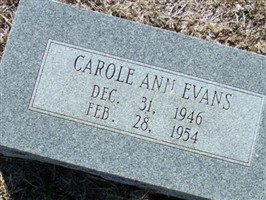 Carole Ann Evans Carole Ann Evans
