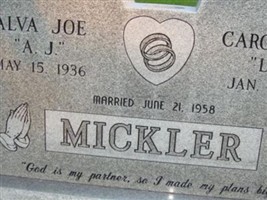 Carole Ann Mickler